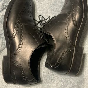 Men’s Cole Hana’s Oxfords wing tip